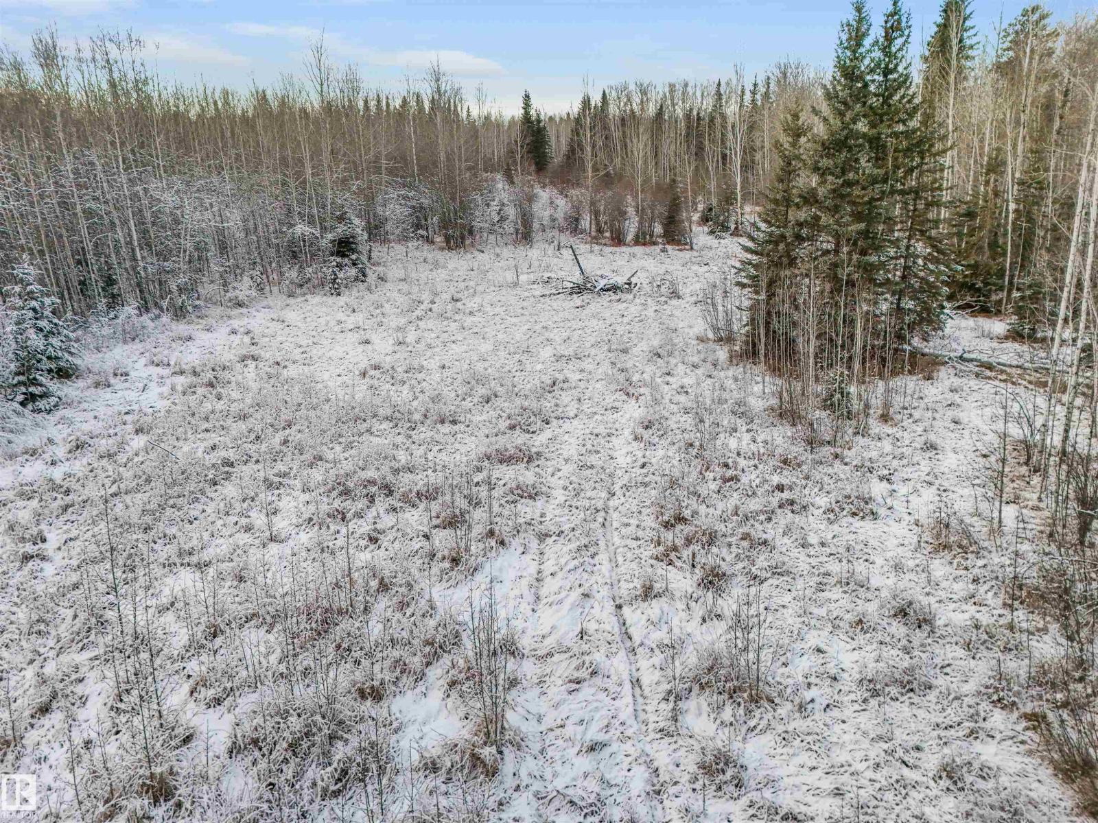 Twp 501 Range Road 91 - Lot 3, Rural Brazeau County, Alberta  T7A 2A3 - Photo 12 - E4467062