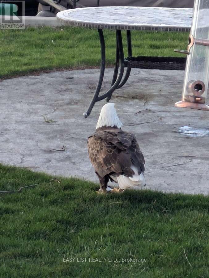 6210 St Clair Road, Lakeshore, Ontario  N0R 1N0 - Photo 33 - X12570548