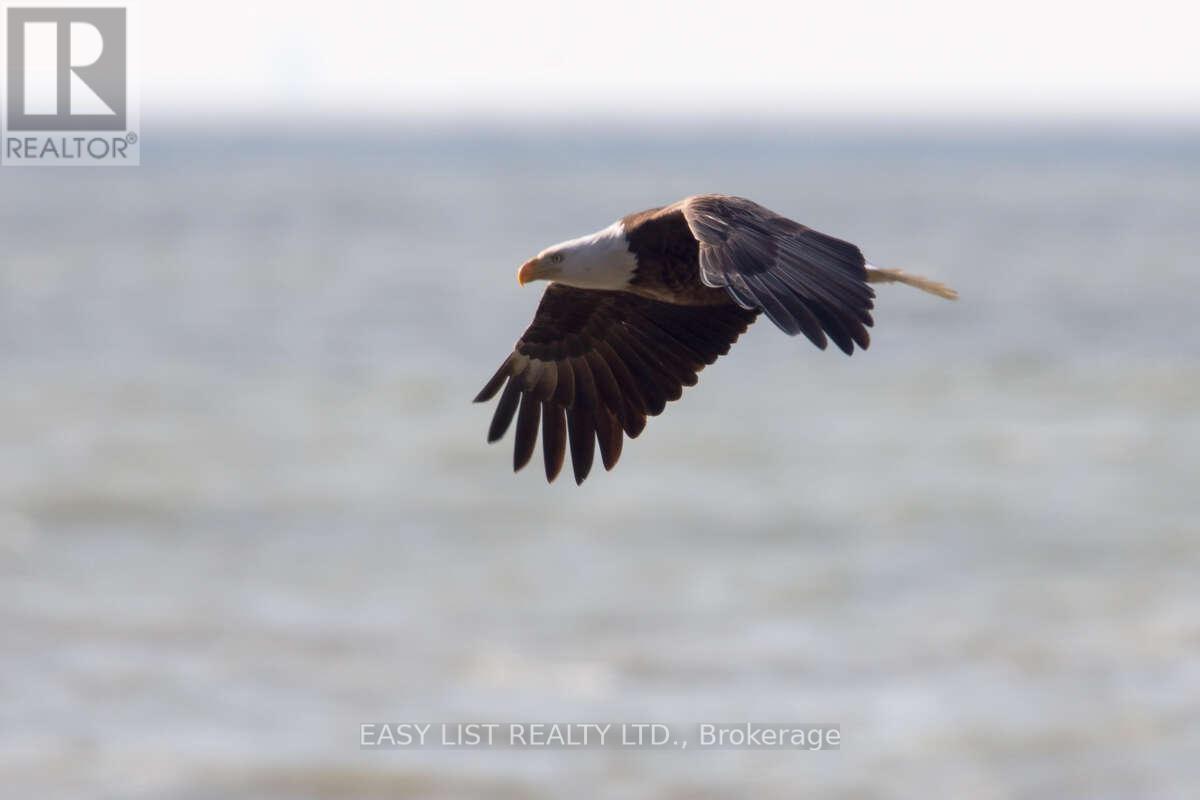 6210 St Clair Road, Lakeshore, Ontario  N0R 1N0 - Photo 34 - X12570548