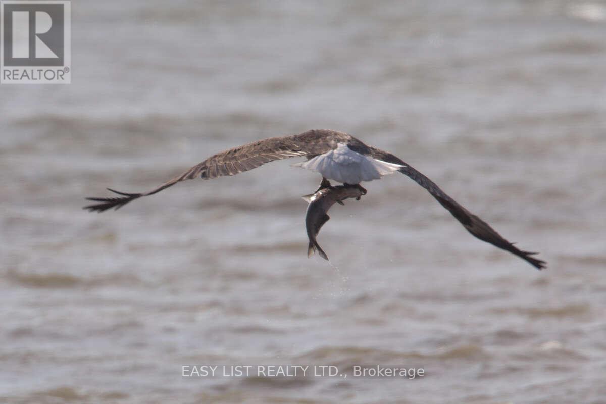 6210 St Clair Road, Lakeshore, Ontario  N0R 1N0 - Photo 36 - X12570548