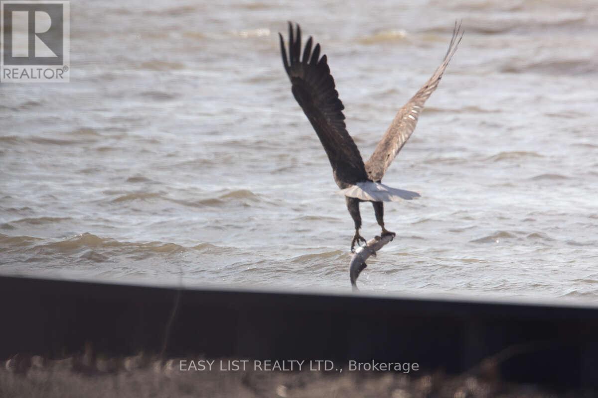 6210 St Clair Road, Lakeshore, Ontario  N0R 1N0 - Photo 35 - X12570548