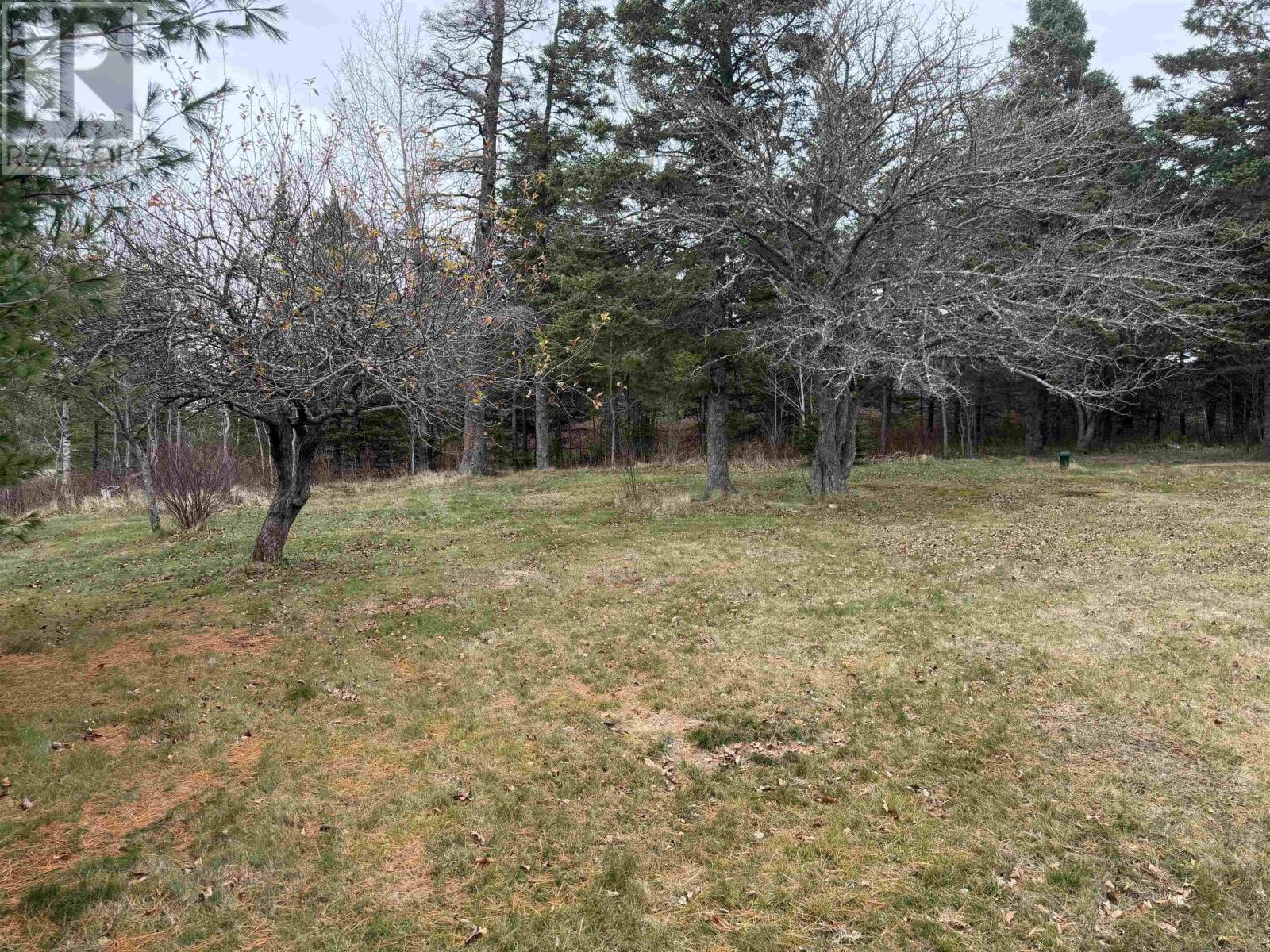 331 E. Fraser Road, White Hill, Nova Scotia  B0K 1C0 - Photo 2 - 202528765