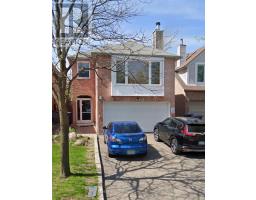 Basement - 14 Niles Court, Brampton (Westgate), Ca