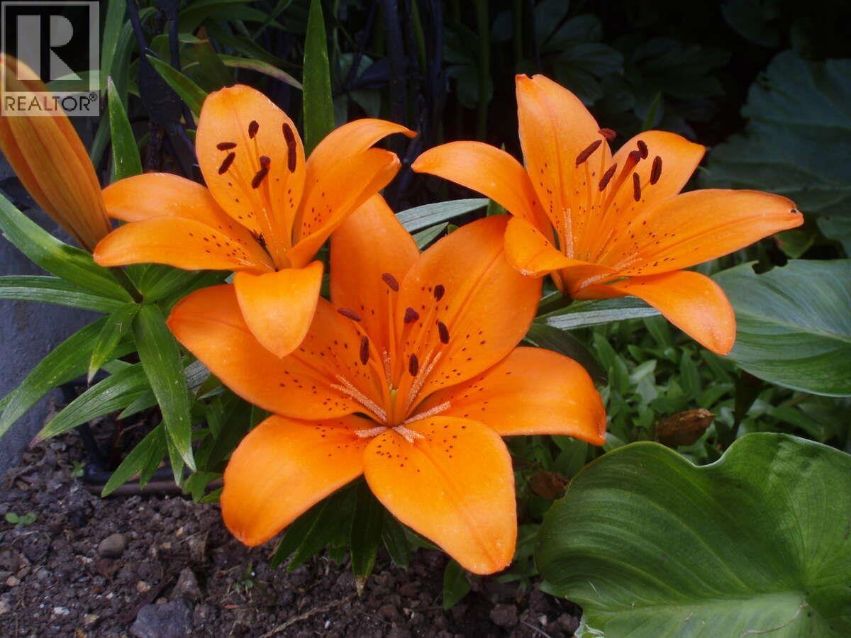 1498 Chamberlain Drive, North Vancouver, British Columbia  V7K 1P6 - Photo 29 - R3071019