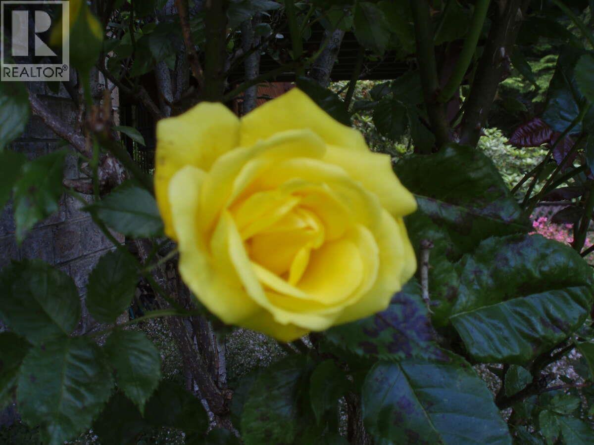 1498 Chamberlain Drive, North Vancouver, British Columbia  V7K 1P6 - Photo 32 - R3071019