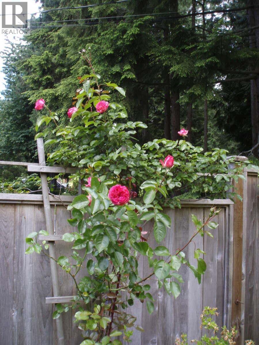 1498 Chamberlain Drive, North Vancouver, British Columbia  V7K 1P6 - Photo 33 - R3071019