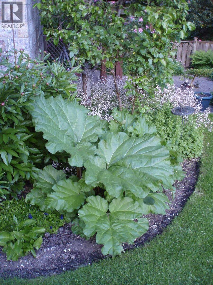 1498 Chamberlain Drive, North Vancouver, British Columbia  V7K 1P6 - Photo 34 - R3071019