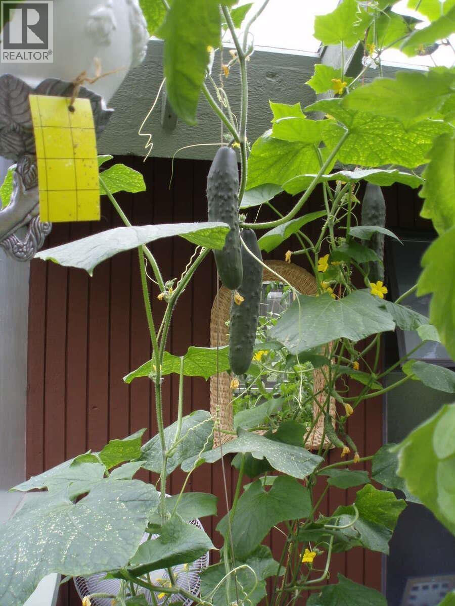 1498 Chamberlain Drive, North Vancouver, British Columbia  V7K 1P6 - Photo 35 - R3071019