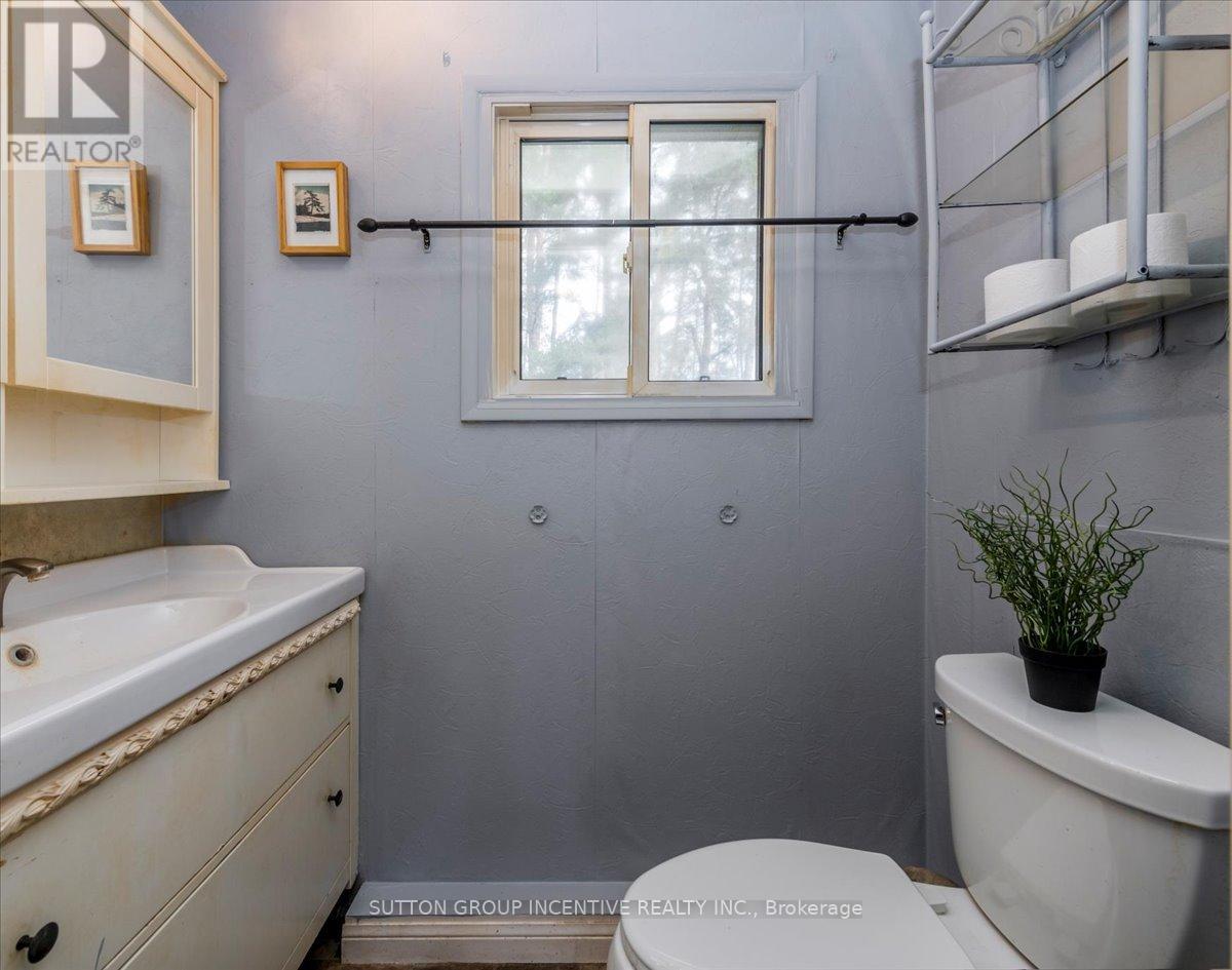 29 Main Street, Innisfil, Ontario  L9S 1L9 - Photo 15 - N12588066