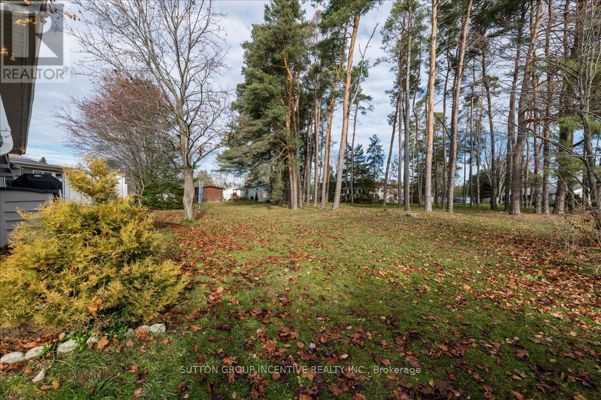 29 Main Street, Innisfil, Ontario  L9S 1L9 - Photo 19 - N12588066