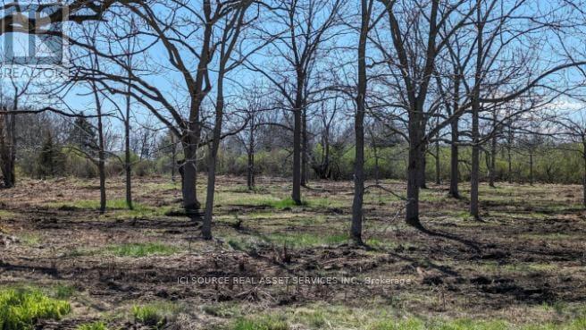 Lot 1 Rathfon Road, Wainfleet, Ontario  L3K 5V4 - Photo 10 - X12588112