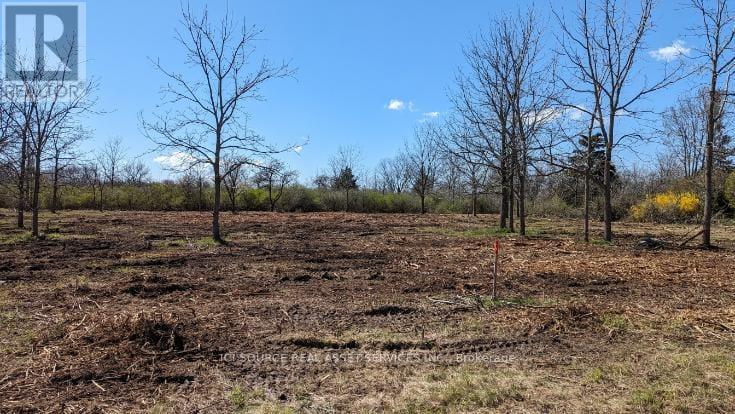 Lot 1 Rathfon Road, Wainfleet, Ontario  L3K 5V4 - Photo 11 - X12588112