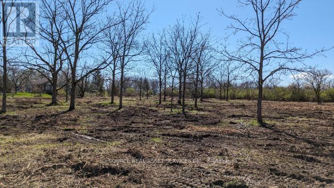 Lot 1 Rathfon Road, Wainfleet, Ontario  L3K 5V4 - Photo 12 - X12588112