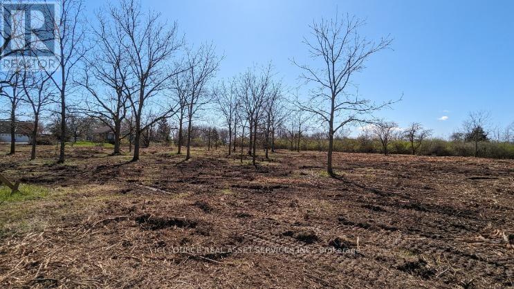 Lot 1 Rathfon Road, Wainfleet, Ontario  L3K 5V4 - Photo 13 - X12588112