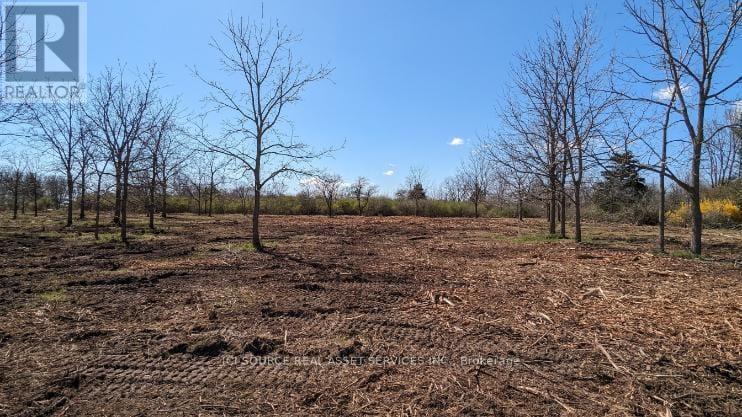 Lot 1 Rathfon Road, Wainfleet, Ontario  L3K 5V4 - Photo 14 - X12588112