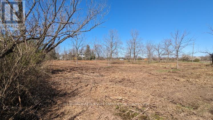 Lot 1 Rathfon Road, Wainfleet, Ontario  L3K 5V4 - Photo 17 - X12588112