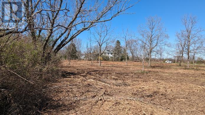 Lot 1 Rathfon Road, Wainfleet, Ontario  L3K 5V4 - Photo 20 - X12588112