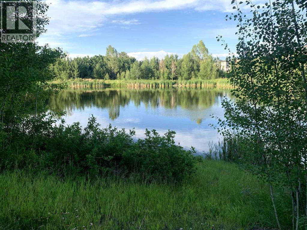 135 Autumn Close Se, Calgary, Alberta  T3M 0K2 - Photo 43 - A2272328