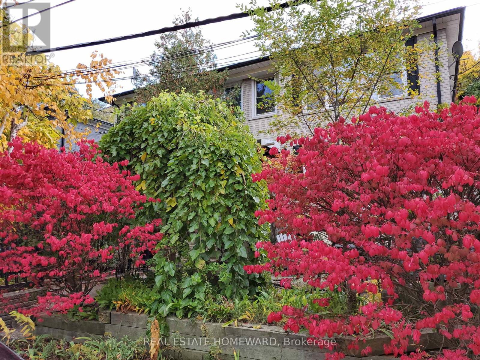 Main Floor - 21 Love Crescent, Toronto, Ontario M4E 1V6 - Photo 2 - E12588148