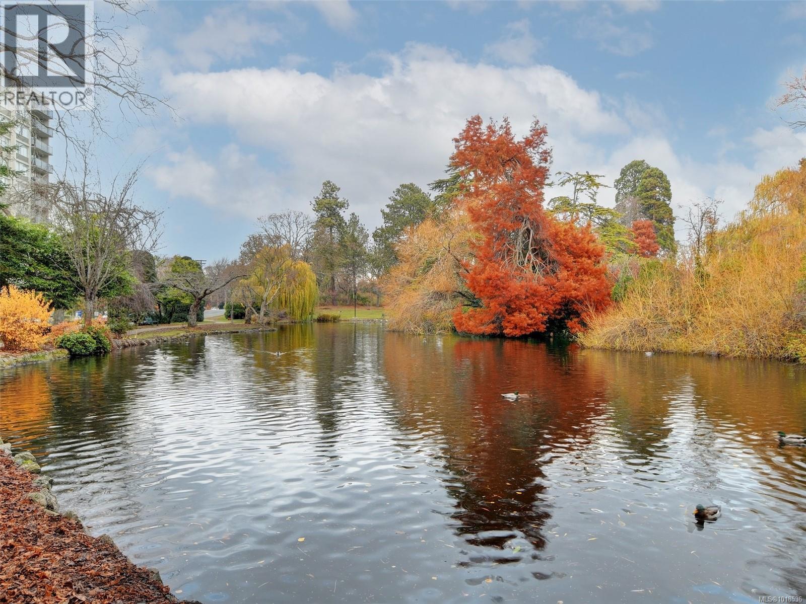 1 1016 Southgate St, Victoria, British Columbia V8V 2Z2 - Photo 28 - 1018536