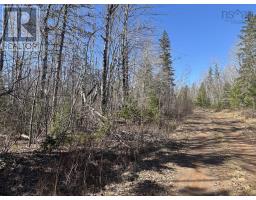 Black Lake, No 104 Highway