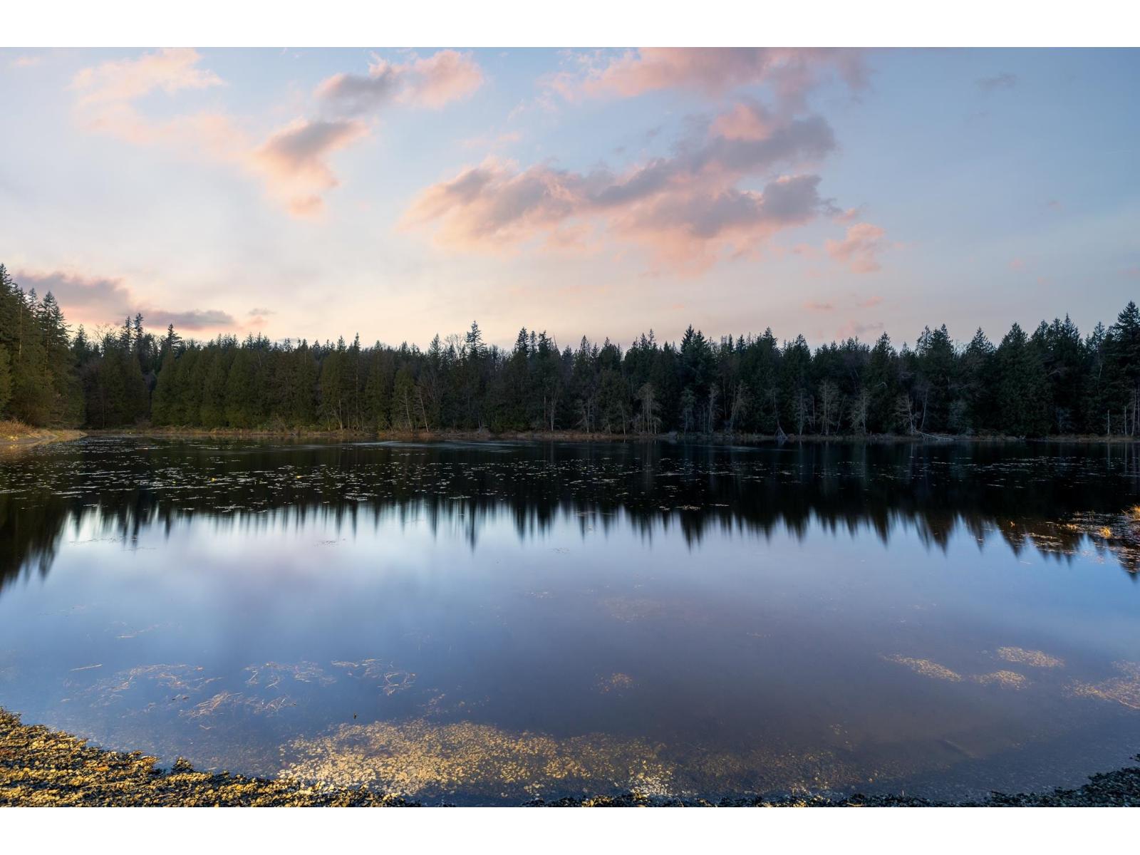 23455 8 Avenue, Langley, British Columbia V2Z 2X9 - Photo 39 - R3070407