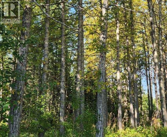 Range Road 6.2, Rural Clearwater County, Alberta  T0M 0C0 - Photo 6 - A2269590