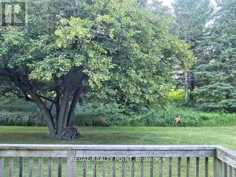 12 Fairway Heights Crescent, Markham, Ontario  L3T 1K2 - Photo 27 - N12588354