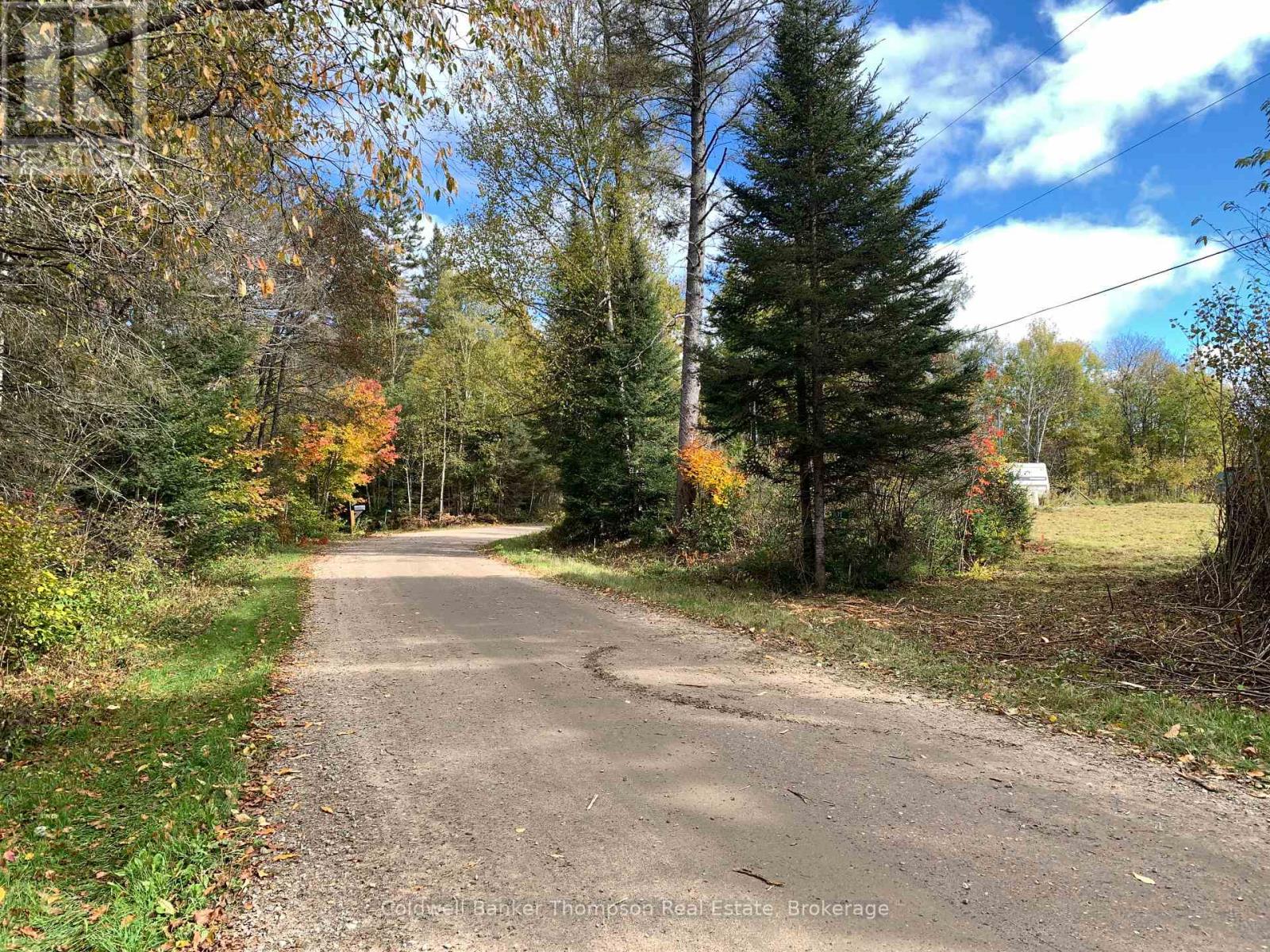 101 Proudfoot Road, Armour, Ontario  P0A 1Z0 - Photo 4 - X12425953