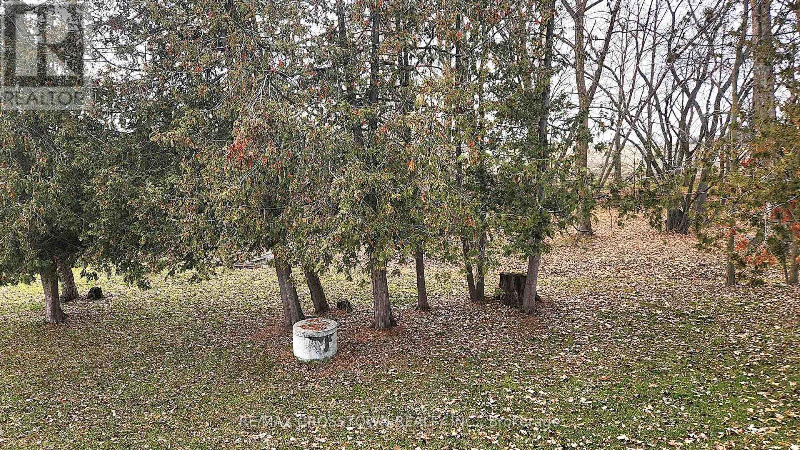 5274 10th Line, Essa, Ontario  L0L 1L0 - Photo 43 - N12585652