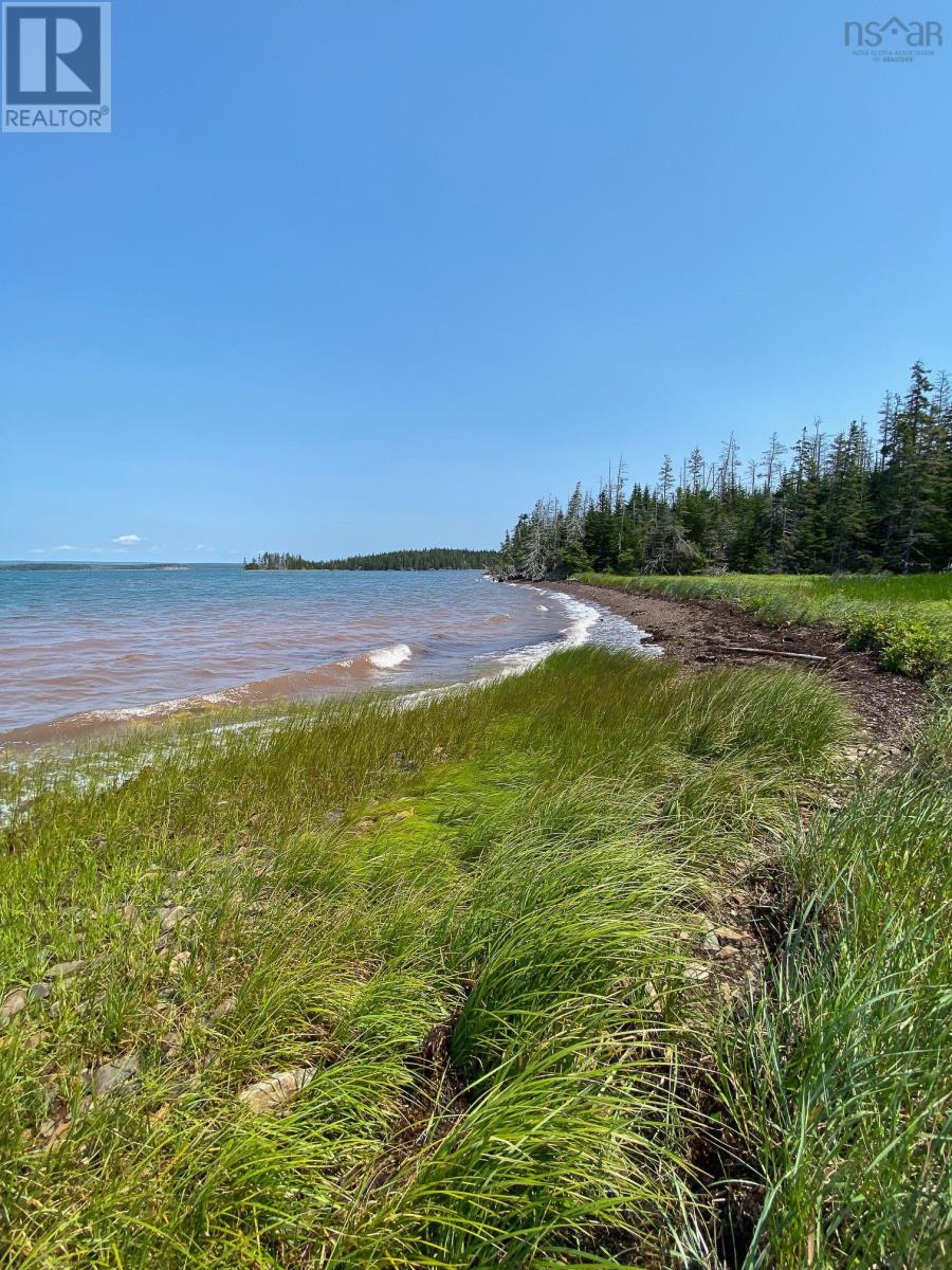 3067 320 Highway, D'escousse, Nova Scotia  B0E 1K0 - Photo 5 - 202528774