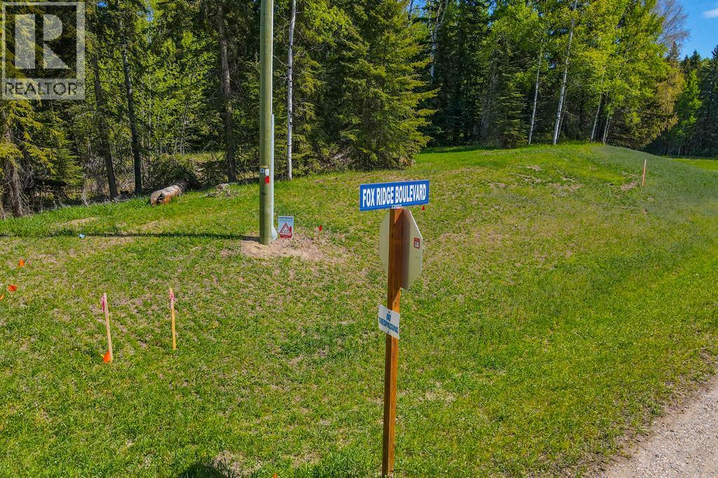 205 Fox Stone Place, Rural Clearwater County, Alberta  T4T 2A4 - Photo 3 - A2001788