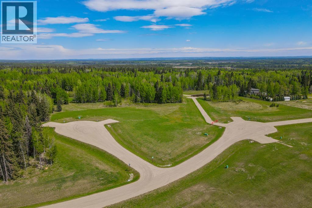 205 Fox Stone Place, Rural Clearwater County, Alberta  T4T 2A4 - Photo 16 - A2001788