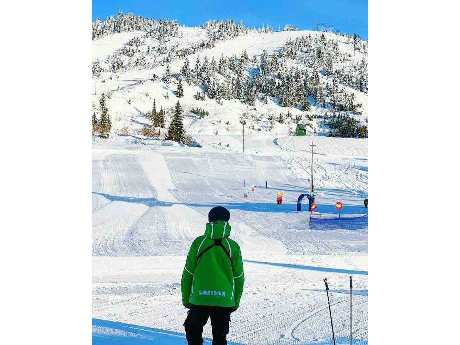 20760 Mount Klaudt Road, Mission, British Columbia  V0M 1A1 - Photo 38 - R3032255