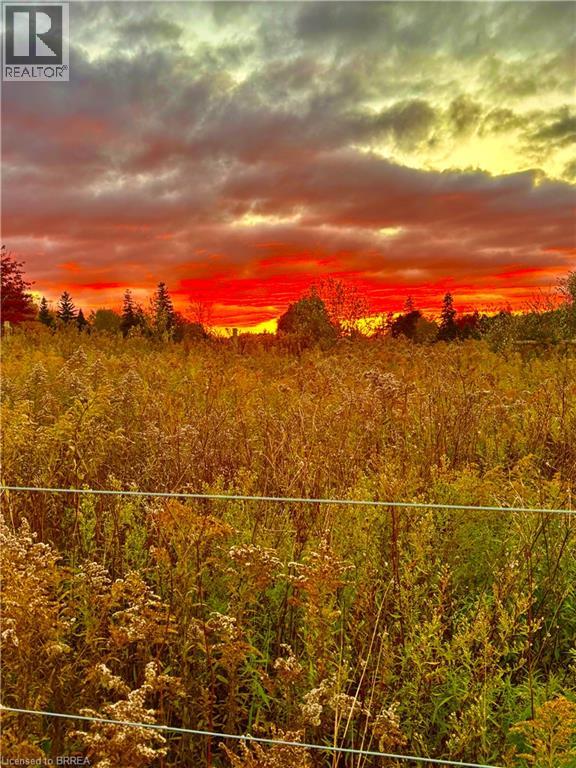 248 Old Onondaga Road E, Onondaga, Ontario  N3R 0C1 - Photo 1 - 40780398