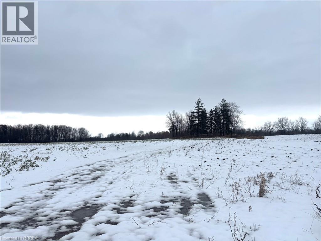 248 Old Onondaga Road E, Onondaga, Ontario N3R 0C1 - Photo 5 - 40780398