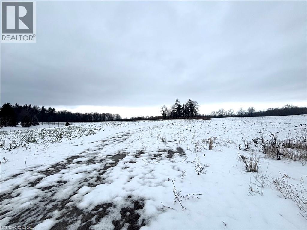 248 Old Onondaga Road E, Onondaga, Ontario N3R 0C1 - Photo 2 - 40780398