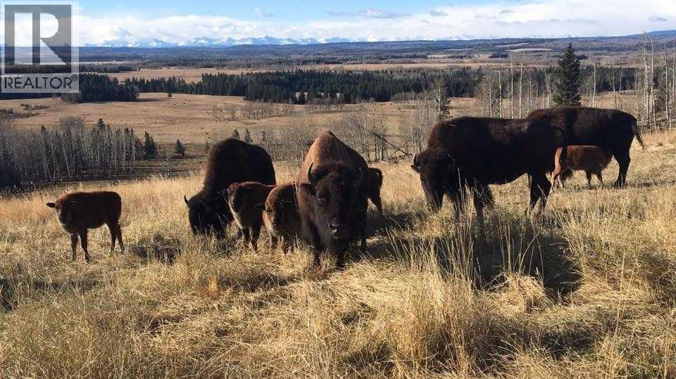 6029 Township Road 332, Rural Mountain View County, Alberta  T0M 1X0 - Photo 40 - A2257709