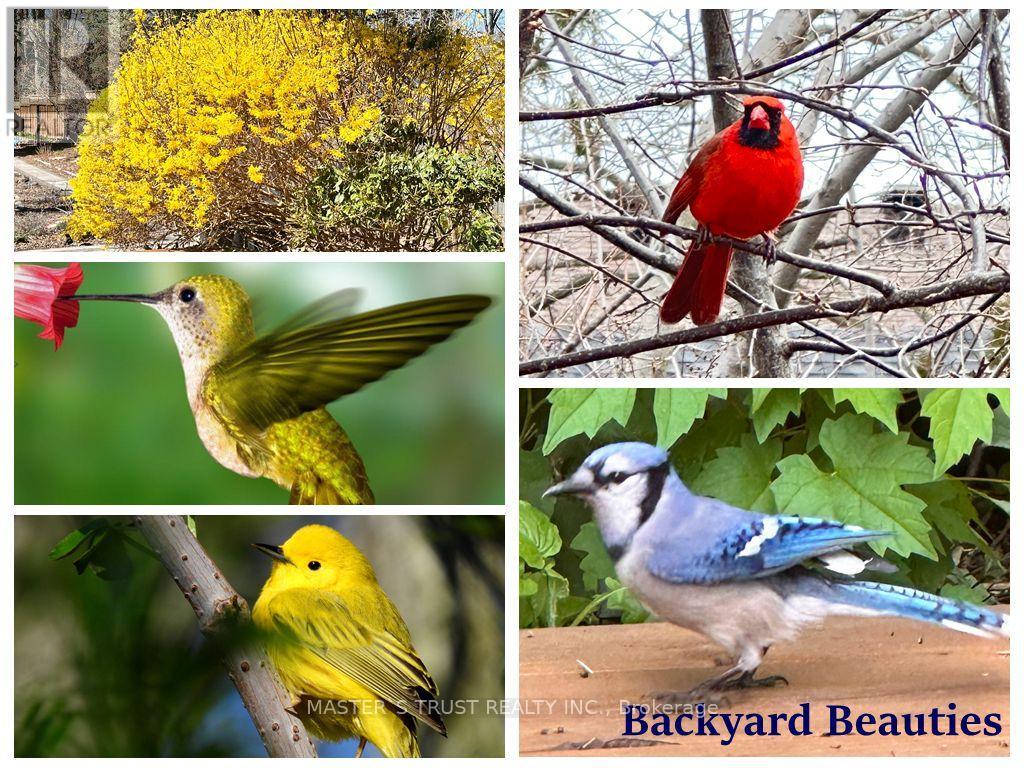 72 Rose Way, Markham, Ontario  L3P 3S6 - Photo 49 - N12573880