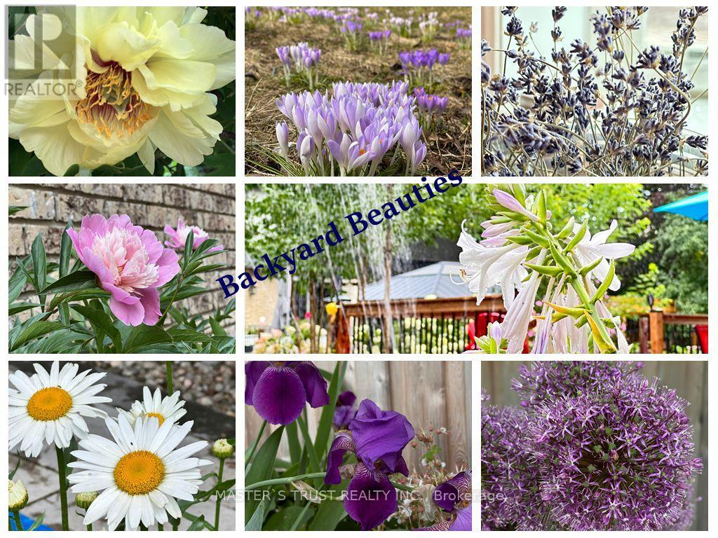 72 Rose Way, Markham, Ontario  L3P 3S6 - Photo 48 - N12573880