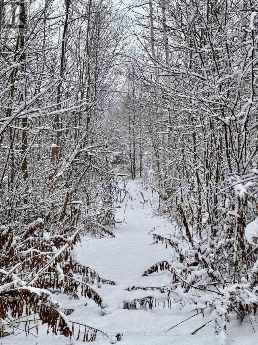 152b Wannamaker Road, Centre Hastings, Ontario  K0K 3E0 - Photo 40 - X12482452