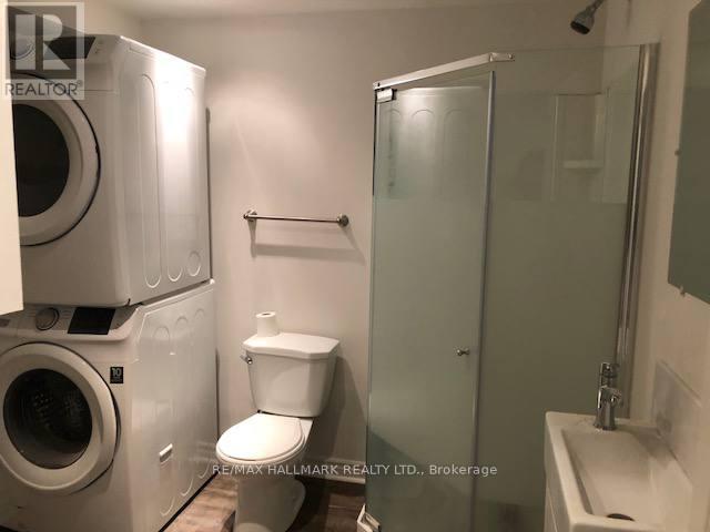 Basement Furnished - 130 Ashdale Avenue, Toronto, Ontario  M4L 2Y9 - Photo 7 - E12588668