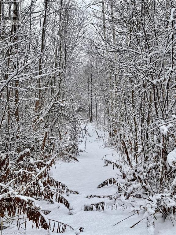 152b Wannamaker Road, Stirling, Ontario  K0K 3E0 - Photo 4 - 40780502