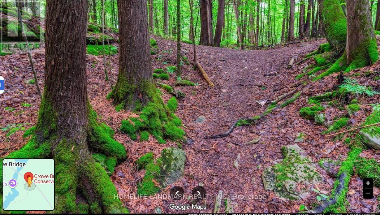 2821 12th Line E, Trent Hills, Ontario K0K 2M0 - Photo 4 - X12588758