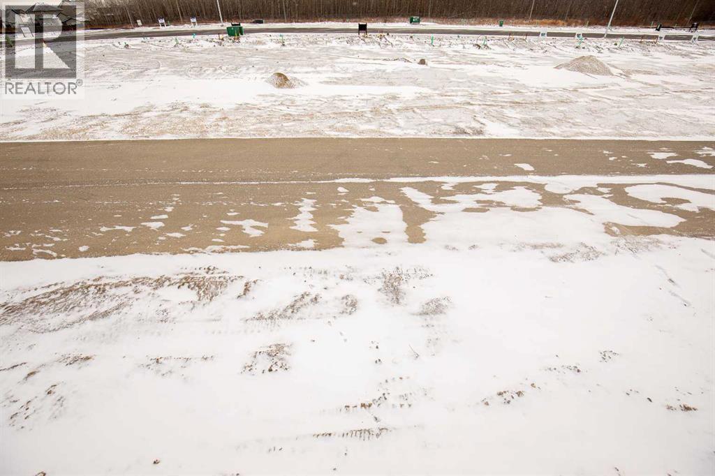 114 Gray Close, Sylvan Lake, Alberta  T4S 0W4 - Photo 30 - A2264317