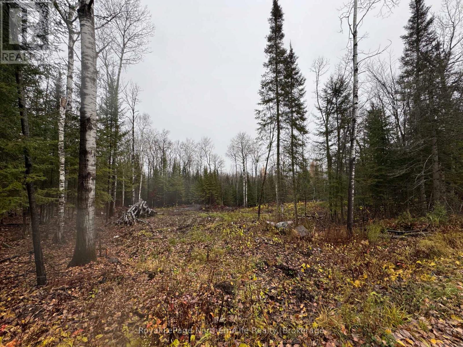 Pt E1/2 Hillcrest Road, East Ferris, Ontario  P0H 1B0 - Photo 3 - X12516936