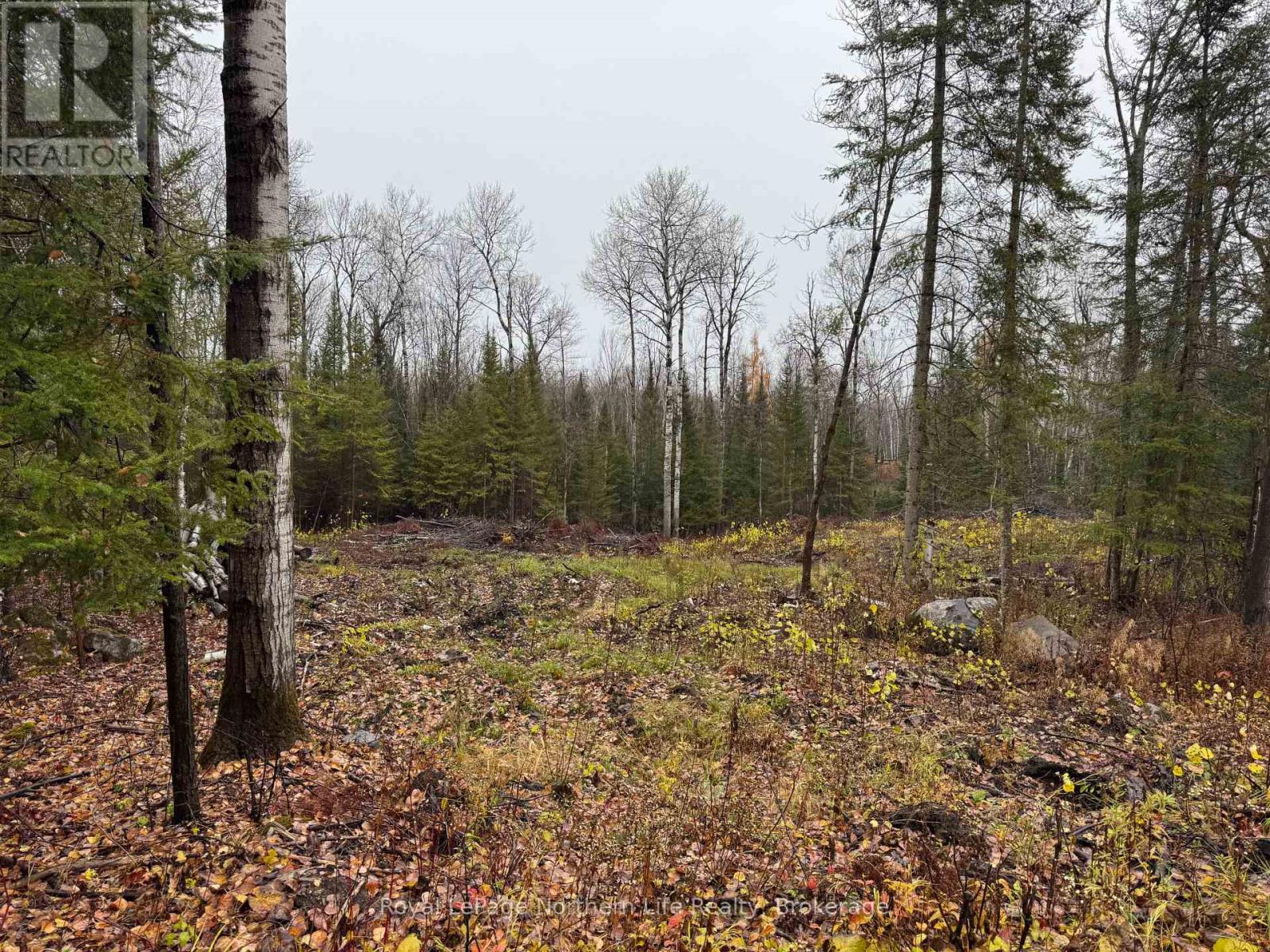 Pt E1/2 Hillcrest Road, East Ferris, Ontario  P0H 1B0 - Photo 5 - X12516936