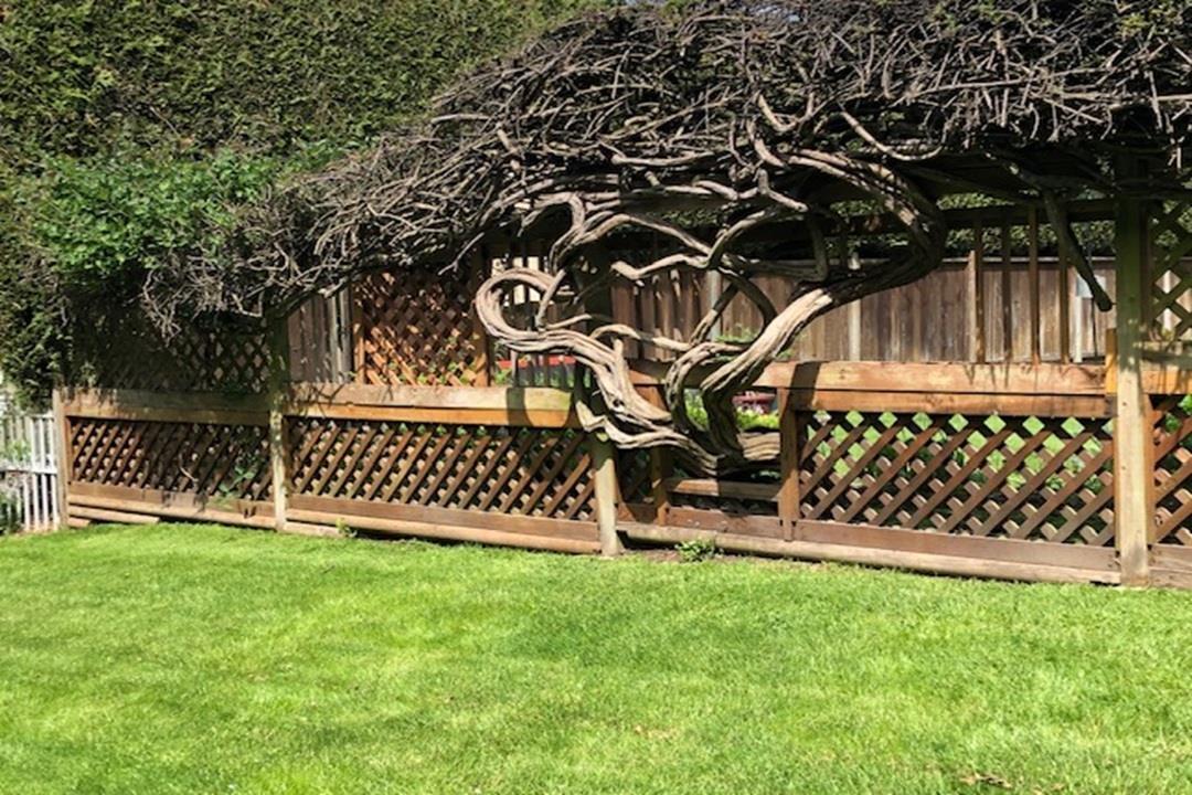 1711 126 Street, Surrey, British Columbia  V4A 9N6 - Photo 25 - R3070533