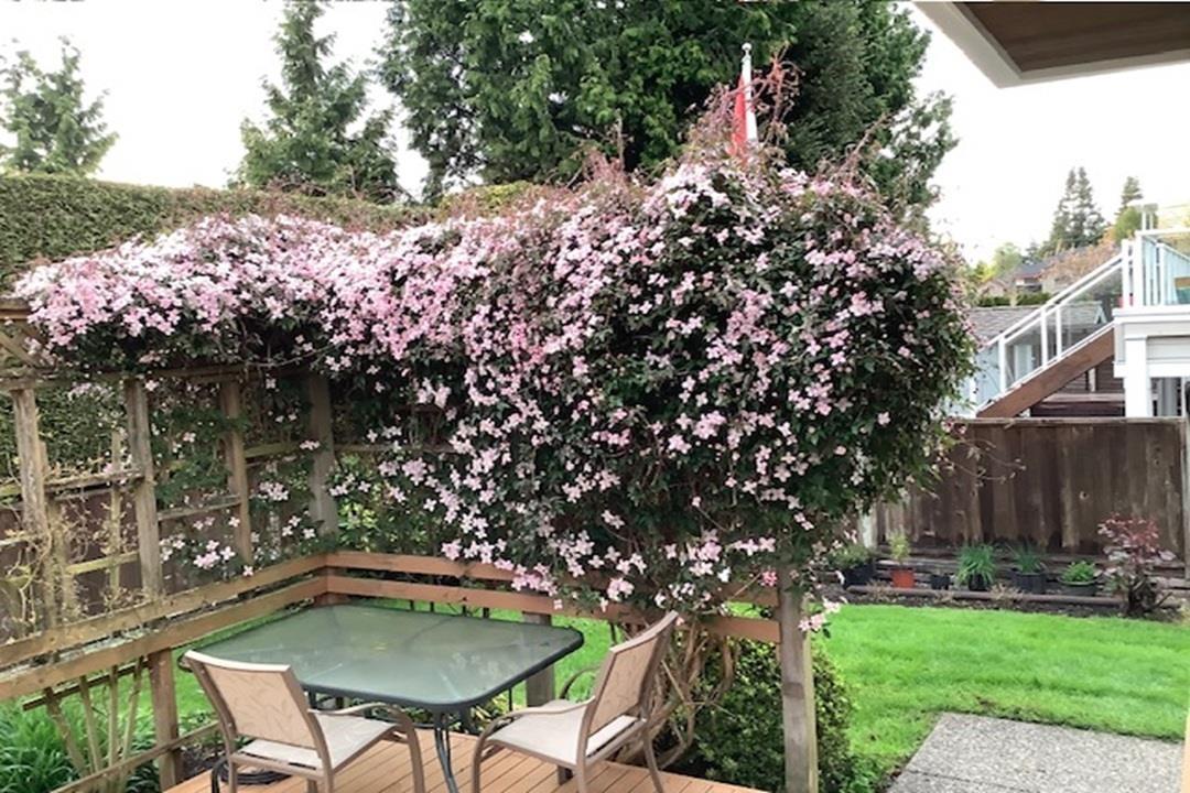 1711 126 Street, Surrey, British Columbia  V4A 9N6 - Photo 14 - R3070533