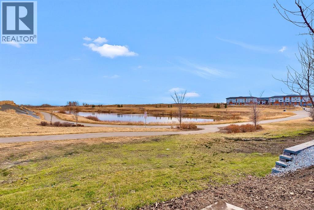 134 Belmont Street Sw, Calgary, Alberta  T2X 5X5 - Photo 21 - A2271926